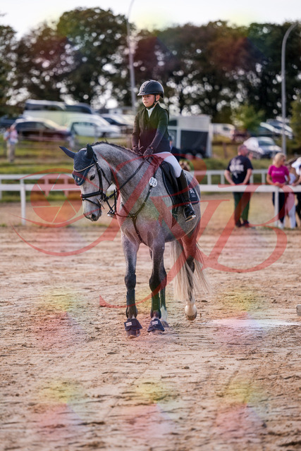 2026_10_03_Siefer-Hof_144950_Z81_28014878 | Professionelle Reitsport-, Turnier- und Eventfotografie von Robert Broda. Galerien mit ausgewählten und bearbeiteten Bildern direkt online ansehen und bestellen.