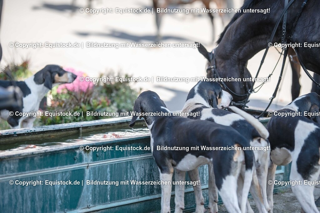 20251011_Jagd-Marbach_0636 | Foto: Thomas Hartig