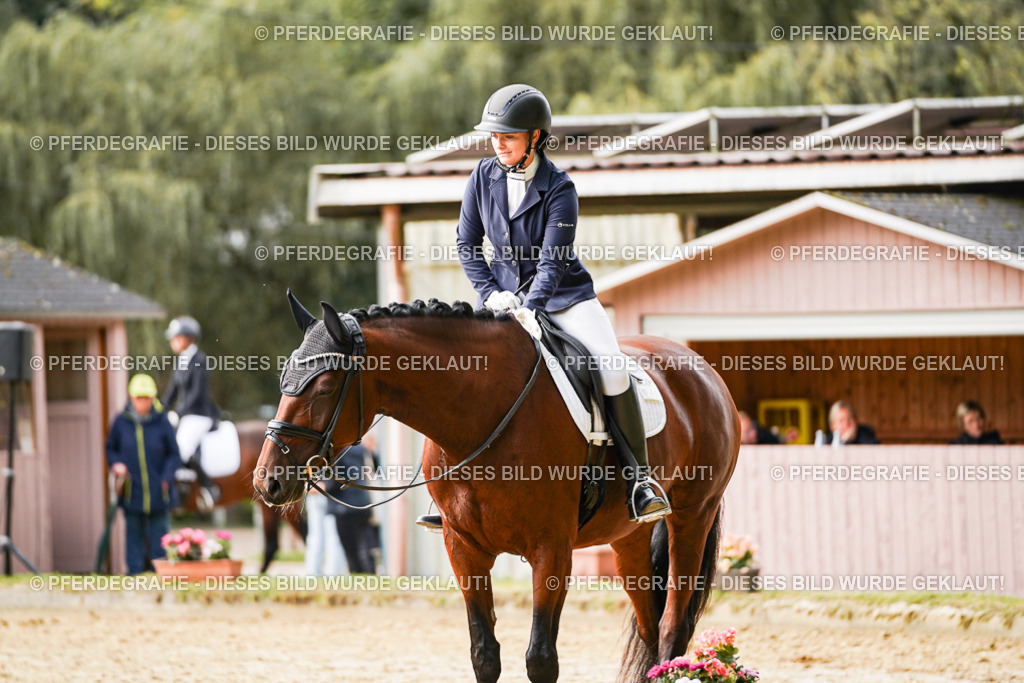 DSC09563 | Pferdegrafie