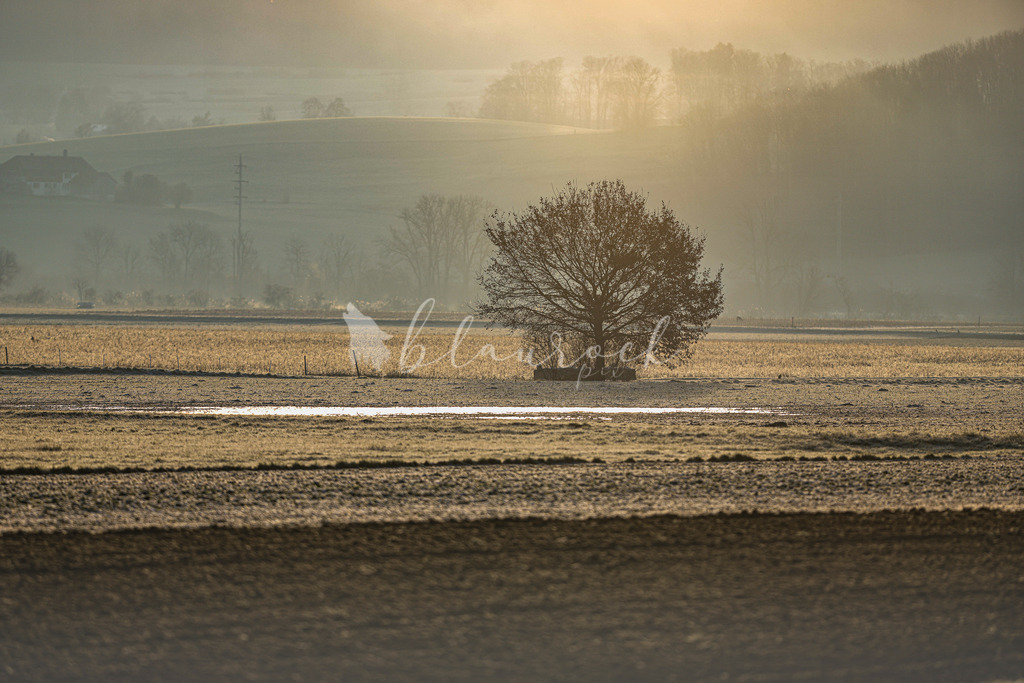 701A5093 | Sportbilder, Sportfotograf, Hochzeits- und Eventfotografin, Flugshows, Portraits und Tiershooting, Aviation, Downhill, Nationalleague, Swissleague, International