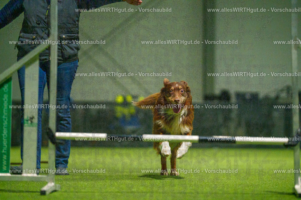 7R509084 | Professionelle Tierfotografie in Mönchengladbach von Daniel Wirth (allesWIRTHgut). Liebevolle & natürliche Bilder von Hunden & Katzen für unvergessliche Erinnerungen.