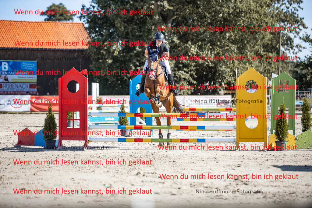 BK1A7200 | Turnierbilder Turnierfotos Nina Hüffmann Turnierfotografie Pferdefotografie Tierzeichnung Haustierzeichnung Pferdezeichnung Hundezeichnung Videograf  - Realisiert mit Pictrs.com