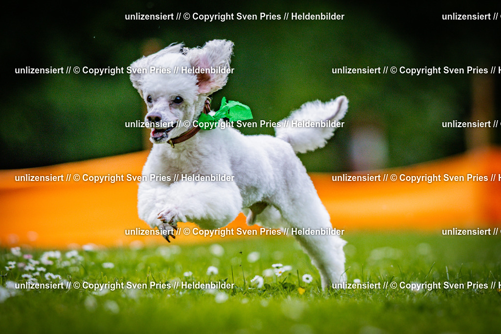 Sven Pries | 2025-05-29 - Pudelrennen KA-Durlach - Realisiert mit Pictrs.com