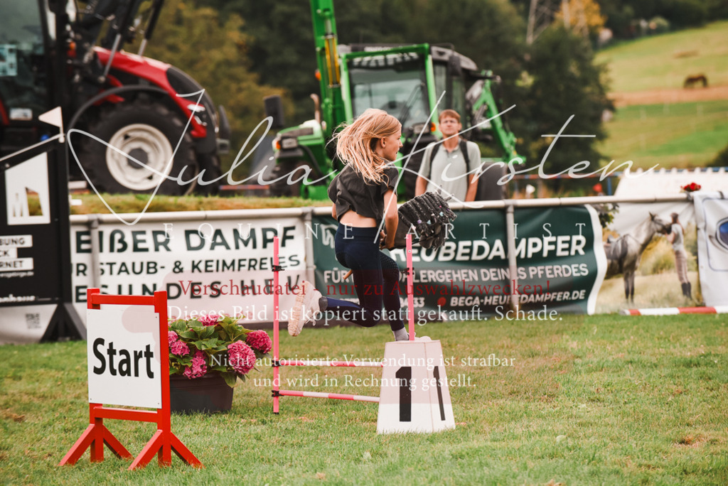 DSC_4555 | Pferde- und Turnierfotografie in Westsachsen. Pferdeportraits, Auftragszeichnungen und intuitive Kunst.