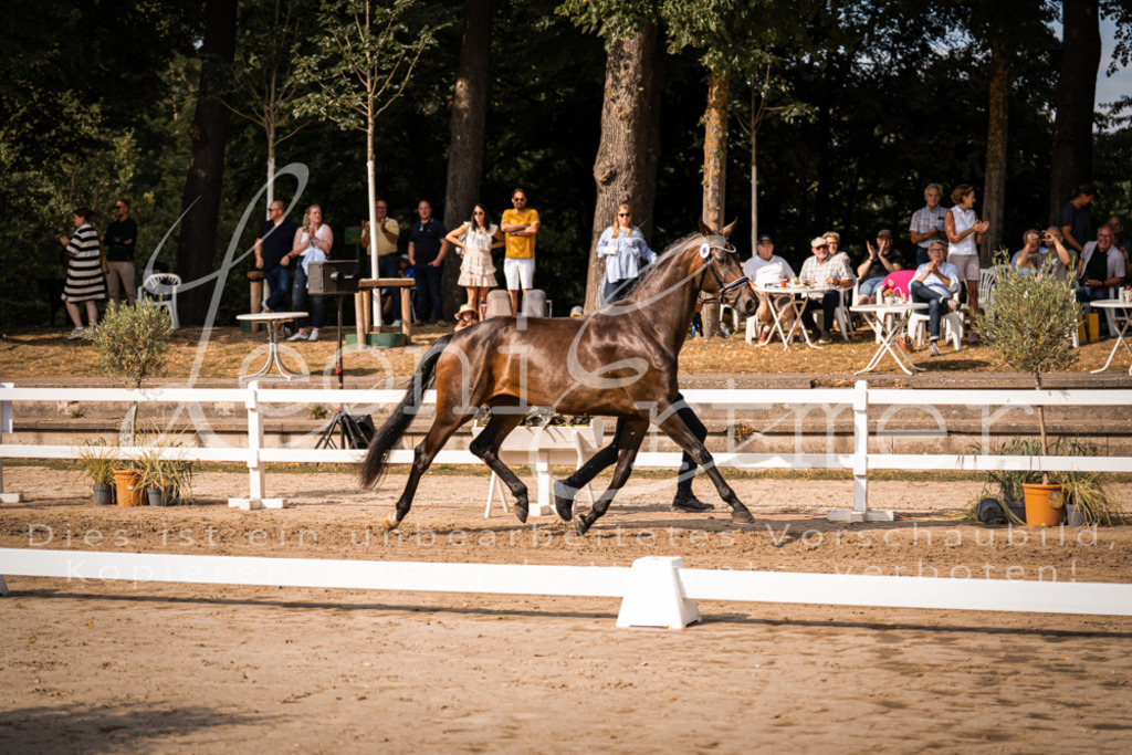 FrER00152 | Leoni Ertmer Photography - Realisiert mit Pictrs.com