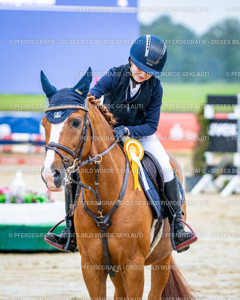 DSC01487 | Pferdegrafie