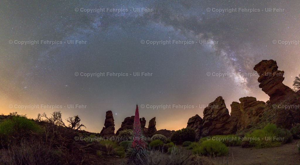 Tajinaste under the milky way - Tenerife | Fehrpics - hochwertige Fotoprodukte rund um Landschaft, Natur, Sterne & Milchstraße. - Realisiert mit Pictrs.com