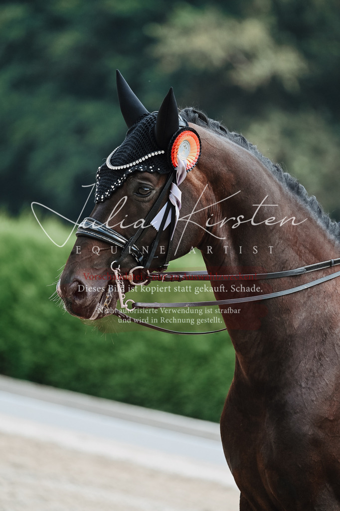 DSC_2662 | Pferde- und Turnierfotografie in Westsachsen. Pferdeportraits, Auftragszeichnungen und intuitive Kunst.