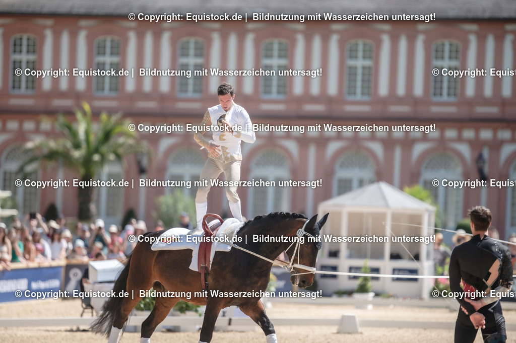 20230528_Voltigieren_NASPA_0181 | equistock