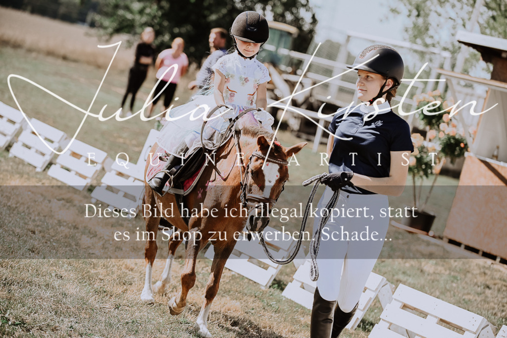 DSC_9184 | Pferde- und Turnierfotografie in Westsachsen. Pferdeportraits, Auftragszeichnungen und intuitive Kunst.