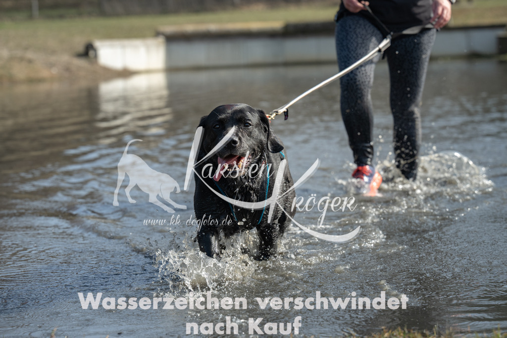 1237_ZZ91092 | kk-dogfotos