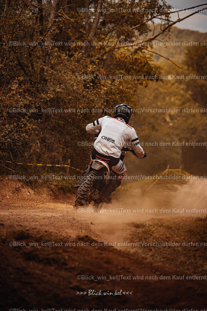 E68A8177 | blick_win_kel