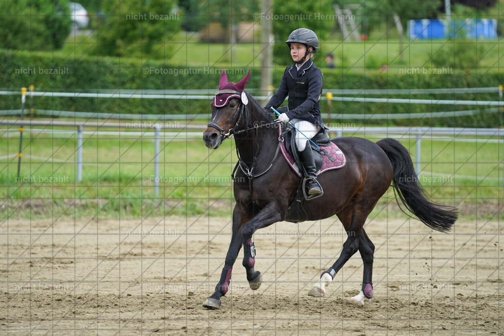 20240630-FAH01195 | Turnierbilder Schwabmünchen, Dressurbilder, Springreitturnier, Reitsportbilder, Turnierfotografen Bayern, Turnierfotograf