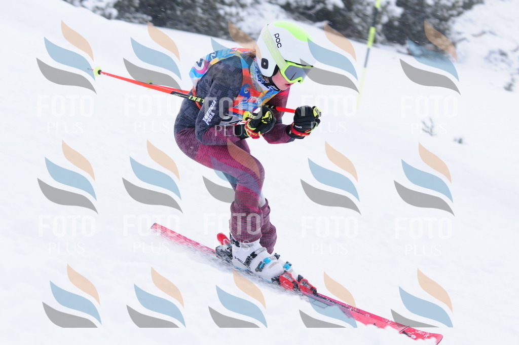 C2594 | holidayphoto