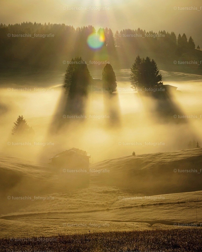 _DSC5017-02 | tuerschis_fotografie - Realisiert mit Pictrs.com