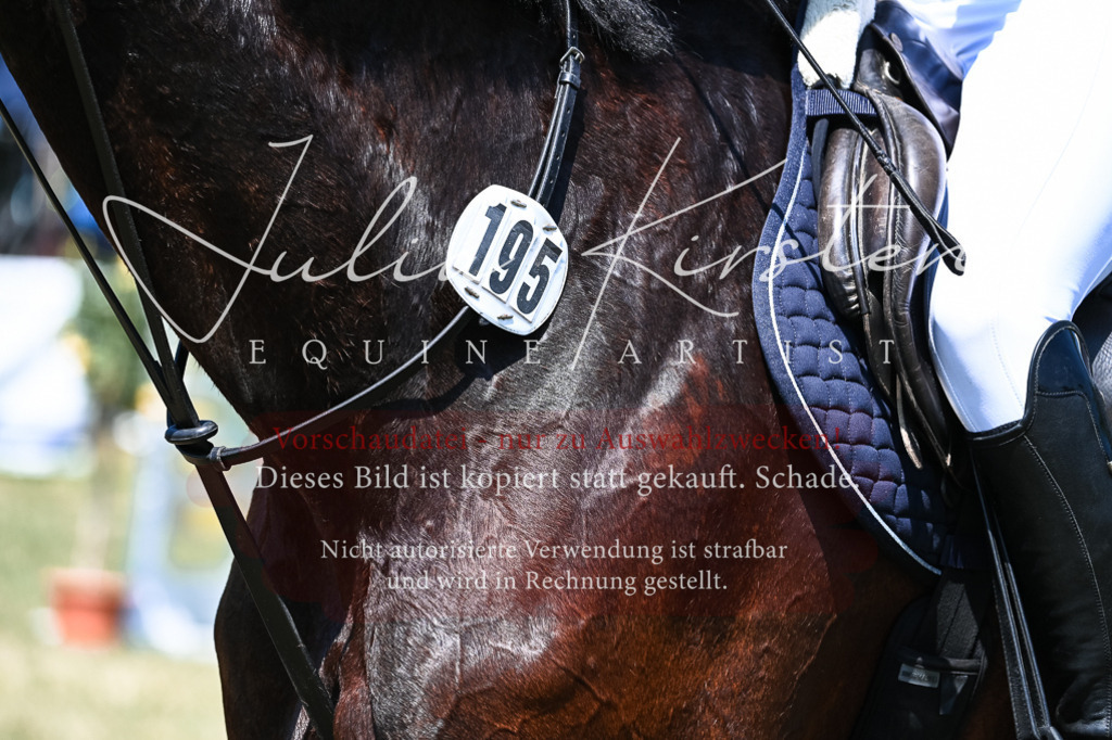 DSC_0083 | Pferde- und Turnierfotografie in Westsachsen. Pferdeportraits, Auftragszeichnungen und intuitive Kunst.