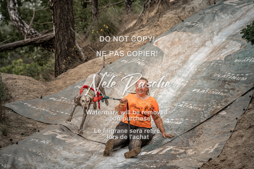 nelerasche_sa1500-1530_16 | nelerasche