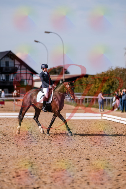 2026_10_03_Siefer-Hof_125732_Z81_45926733 | Professionelle Reitsport-, Turnier- und Eventfotografie von Robert Broda. Galerien mit ausgewählten und bearbeiteten Bildern direkt online ansehen und bestellen.