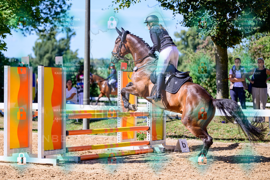 30082026-Giesenbach-Prfg23-0146 | Fokus Hufschlag Fotografie - Realisiert mit Pictrs.com