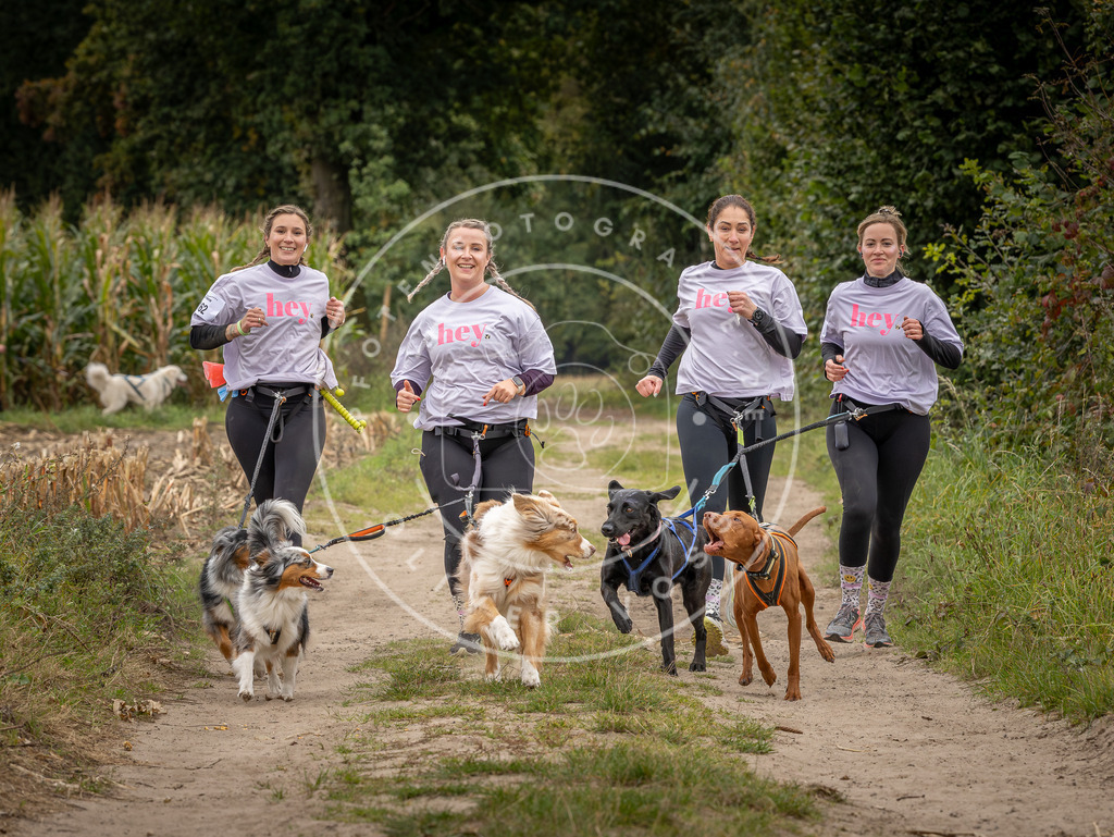 Pfotenfotografie_DV3A7128 | Hundefotografie, Tierfotograf, Pfotenfotografie, Fotoshooting Hund, Hunde Portrait, Hundesport, Hundeportraits, Heideshooting, Hunde, Sportfotograf, Hundefotograf, Turnierhundsport, THS,  - Realisiert mit Pictrs.com