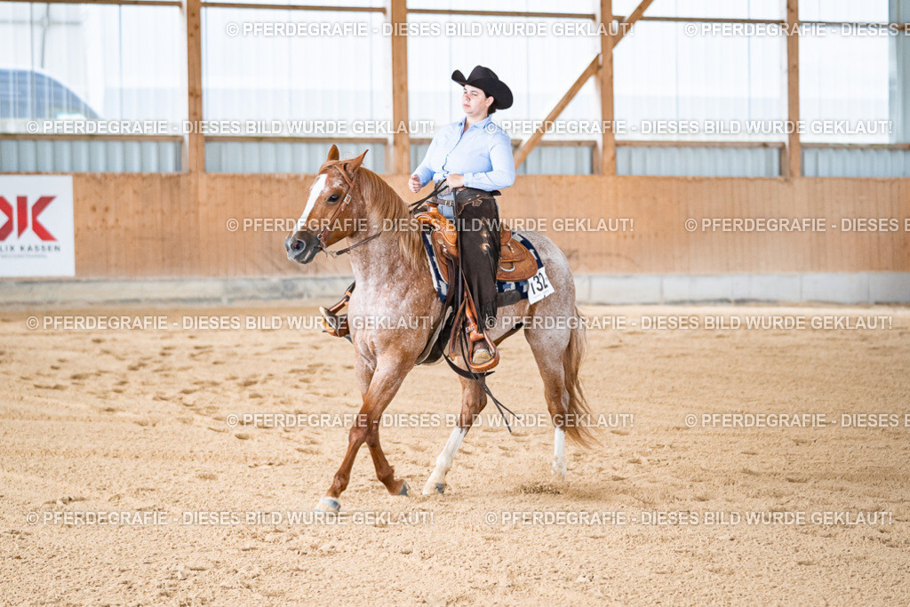 DSC08148 | Pferdegrafie