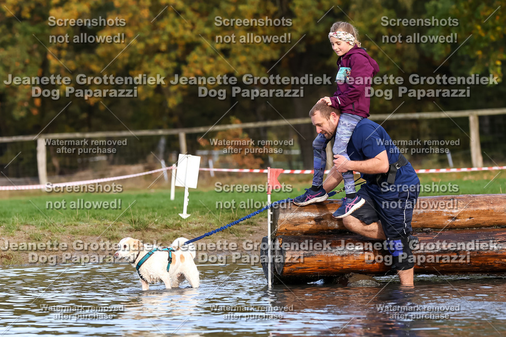 Dog Paparazzi - Strongdog 10-25-8286 | Dog Paparazzi Jeanette Grottendiek Fotografie & Videografie - Realisiert mit Pictrs.com