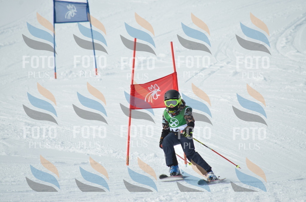 D8728 | holidayphoto