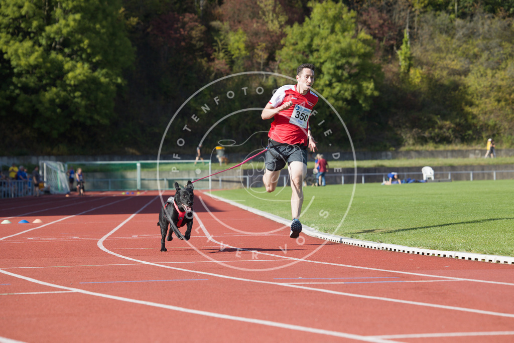 0L8A9603 | Hundefotografie, Tierfotograf, Pfotenfotografie, Fotoshooting Hund, Hunde Portrait, Hundesport, Hundeportraits, Heideshooting, Hunde, Sportfotograf, Hundefotograf, Turnierhundsport, THS,  - Realisiert mit Pictrs.com