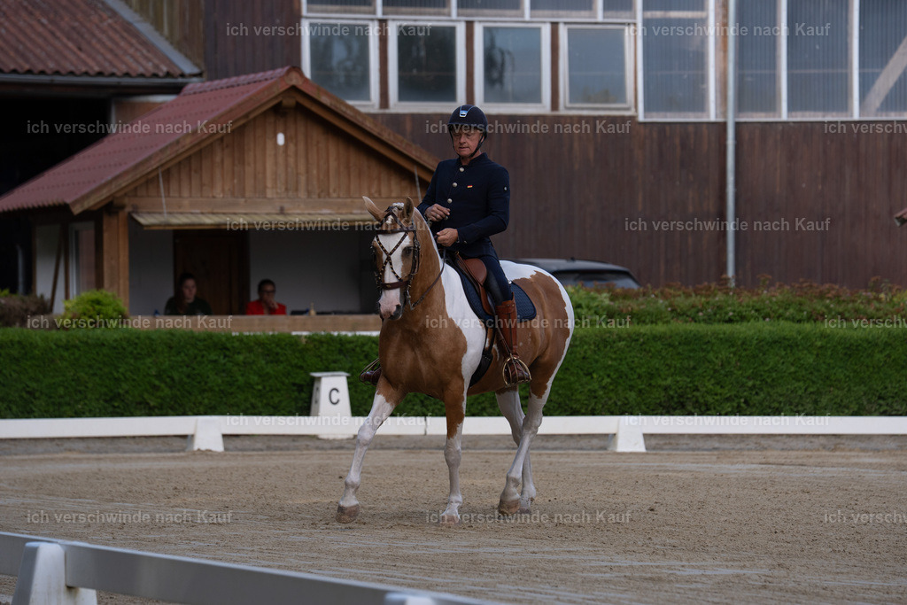 WS_DR_122_sinafilmart_IN00175 | working equitationturnier fotograf videograf stoibphotography marixx film working equitation deutschland reitsport turnierfotografie eventfotografie equestrian events