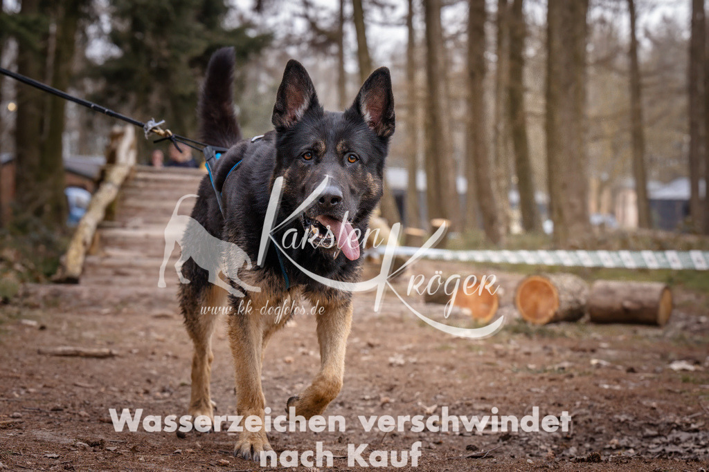 1613_ZZ93131 | kk-dogfotos