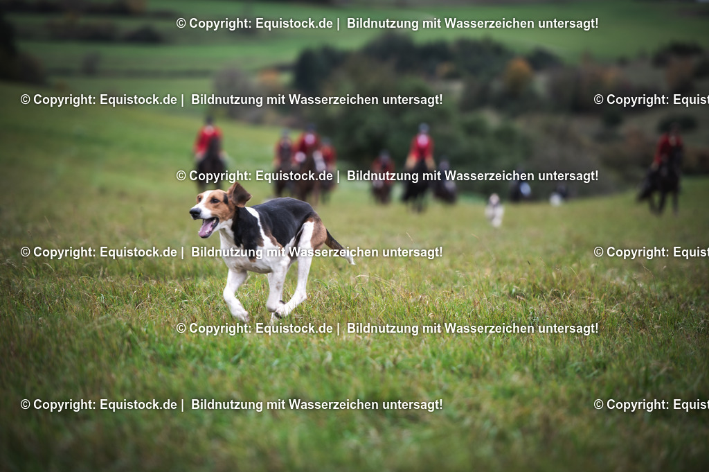 20241013_Jagd-Marbach_0215 | Foto: Thomas Hartig