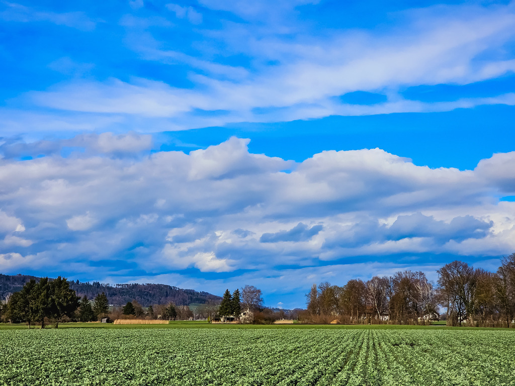 PSX_20230326_002055 | mtkfoto_ - Realisiert mit Pictrs.com