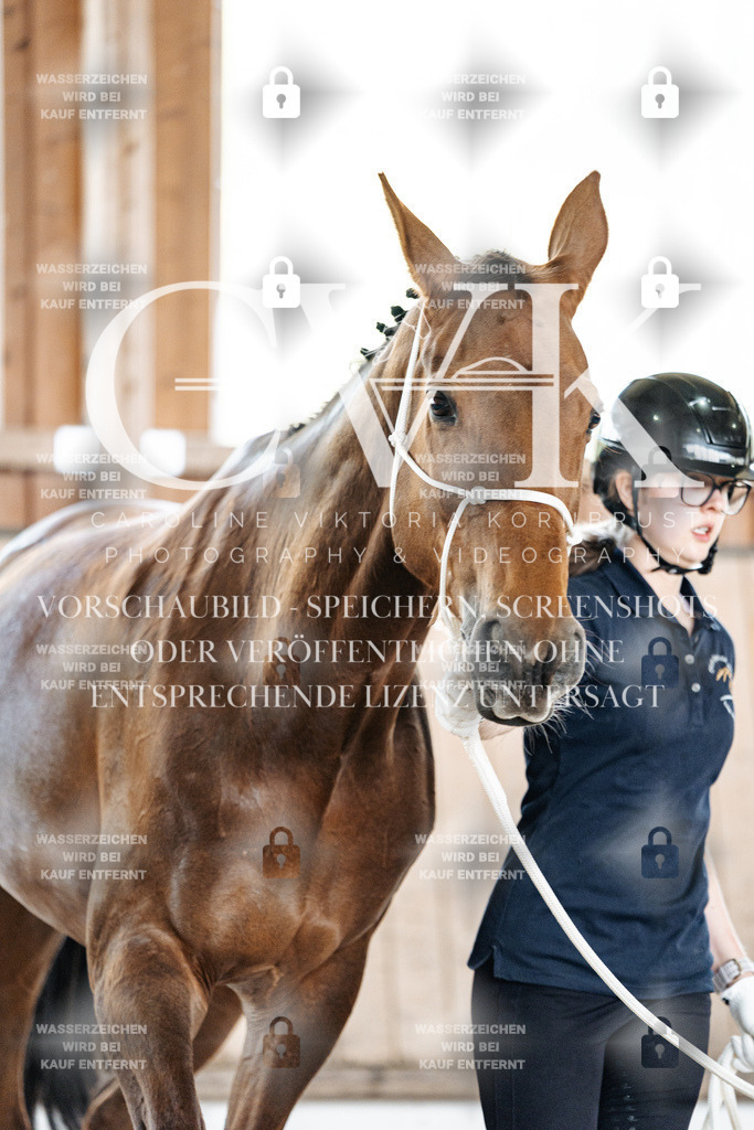 CK908282 | Turnierfotografie Pferdefotografie Trier Rheinland-Pfalz Pferdesport Reitsport Tierfotografie Sportfotografie Pferdevideo Pferdevideografie Equestrianvideography equestrianphotography  - Realisiert mit Pictrs.com