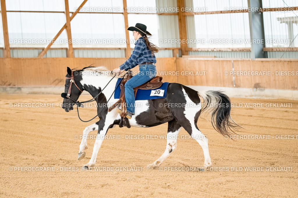 DSC02715 | Pferdegrafie