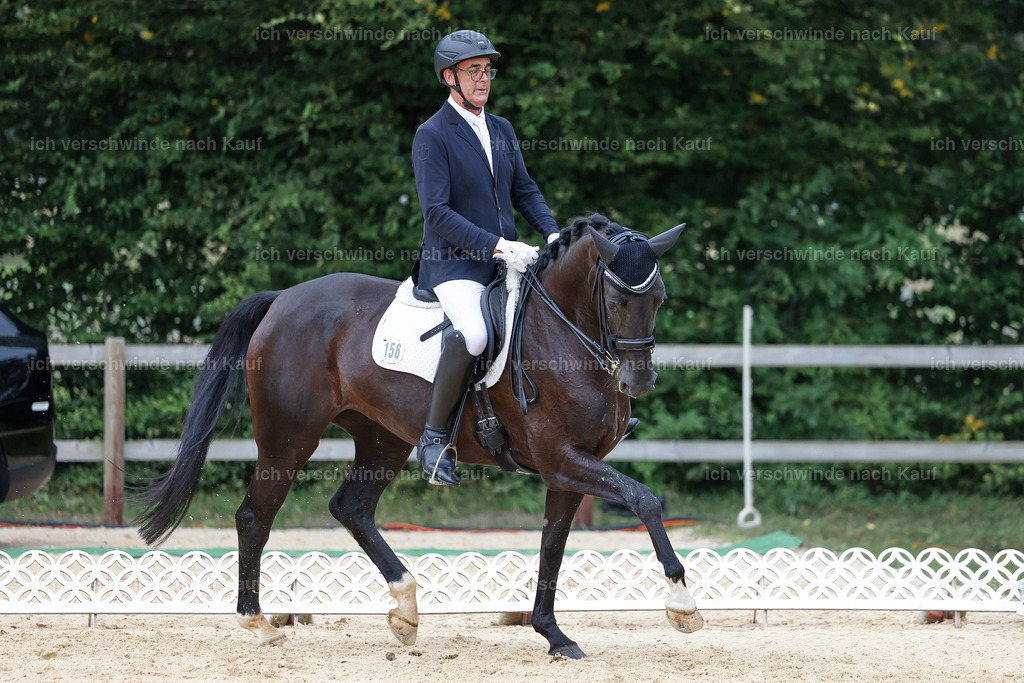 3-165-Dressur M_-StoibPH-2381 | working equitationturnier fotograf videograf stoibphotography marixx film working equitation deutschland reitsport turnierfotografie eventfotografie equestrian events