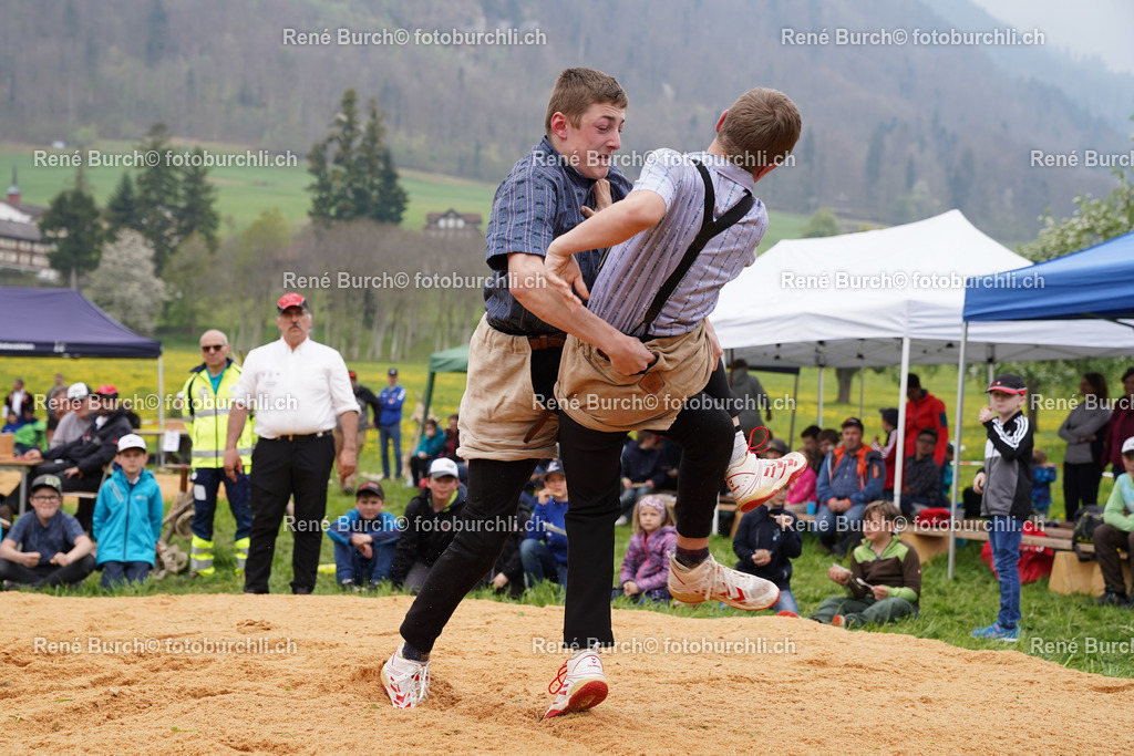 20220423-DSC03646 (2) | René Burch leidenschaftlicher Fotograf aus Kerns in Obwalden.  Hier finden sie Sport, Landschaft und Natur Fotografie.
 - Realisiert mit Pictrs.com