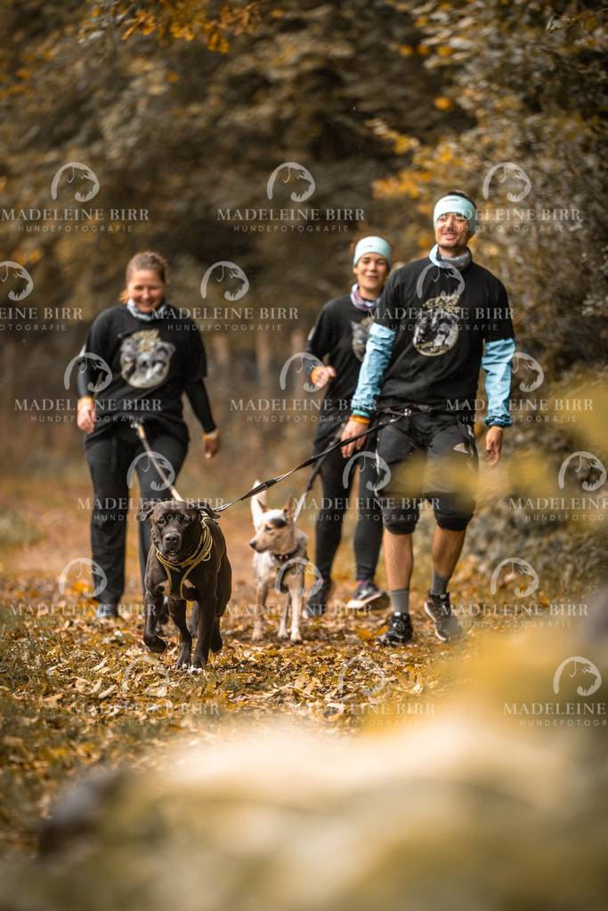 madeleinebirr-fotografie2025.campcanis.sa.8-9Uhr-110 | hundefotografie-birr
