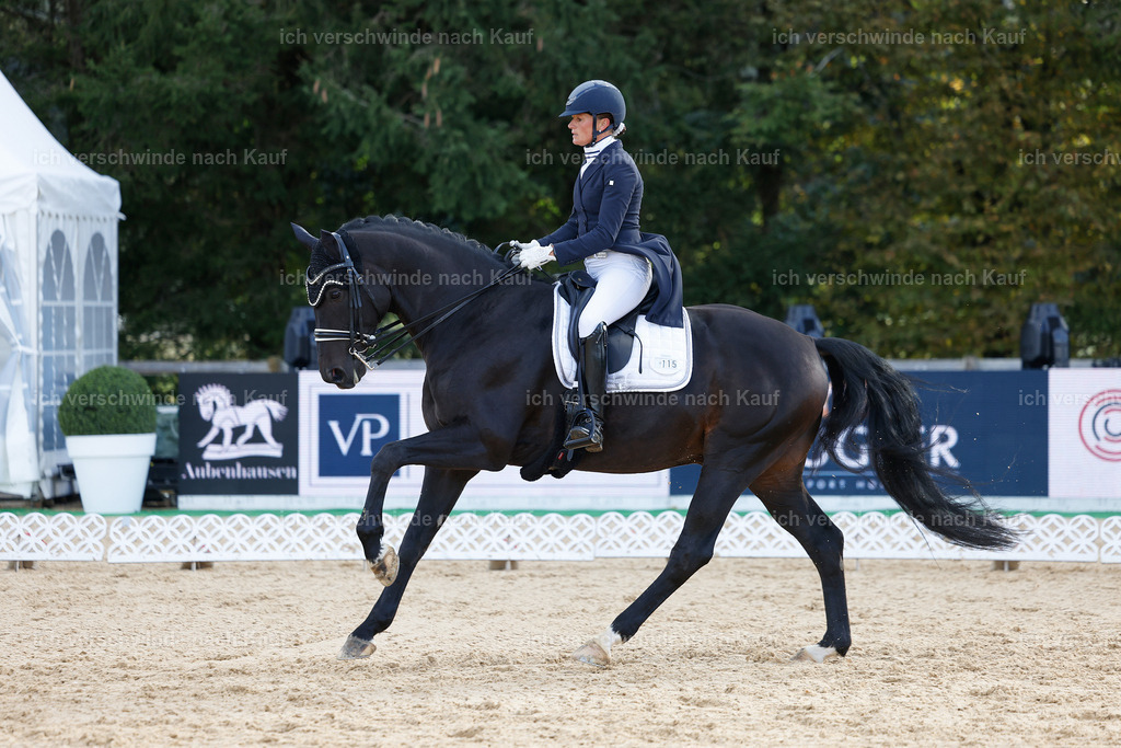 09_1-115-DRESSUR  S_  -StoibPH-5604 | working equitationturnier fotograf videograf stoibphotography marixx film working equitation deutschland reitsport turnierfotografie eventfotografie equestrian events