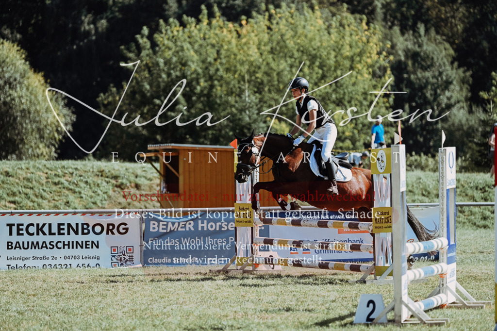 DSC_6806 | Pferde- und Turnierfotografie in Westsachsen. Pferdeportraits, Auftragszeichnungen und intuitive Kunst.