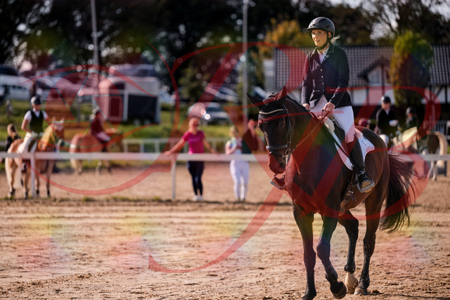2026_10_03_Siefer-Hof_143912_Z81_09593036 | Professionelle Reitsport-, Turnier- und Eventfotografie von Robert Broda. Galerien mit ausgewählten und bearbeiteten Bildern direkt online ansehen und bestellen.