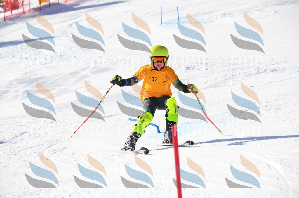 C6454 | holidayphoto