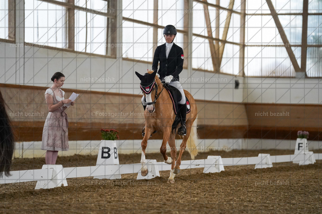 20240825-FAH09166 | Turnierbilder, Reitsportfotos, LAPO, Landesponyturnier, Turnierfotografen Bayern