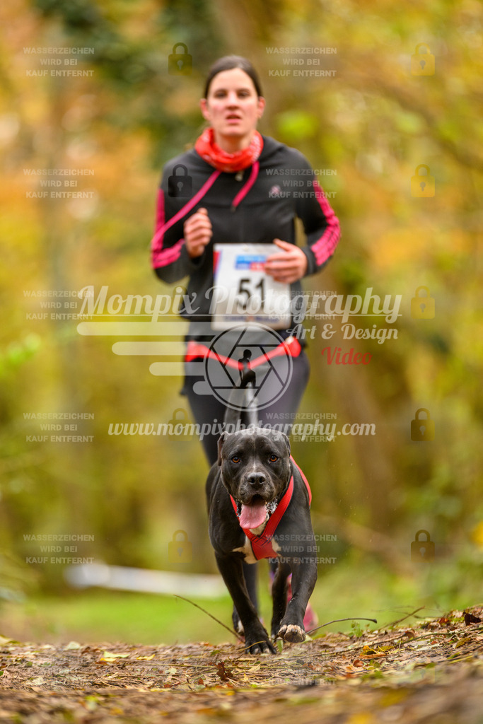 MompixPhotography_Bischwiller24_SA_Canicross-53 | PayLife