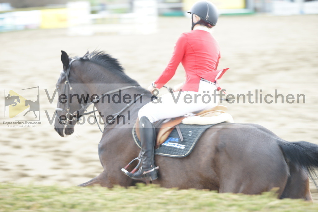 DSC01593 | equestrian-live-com