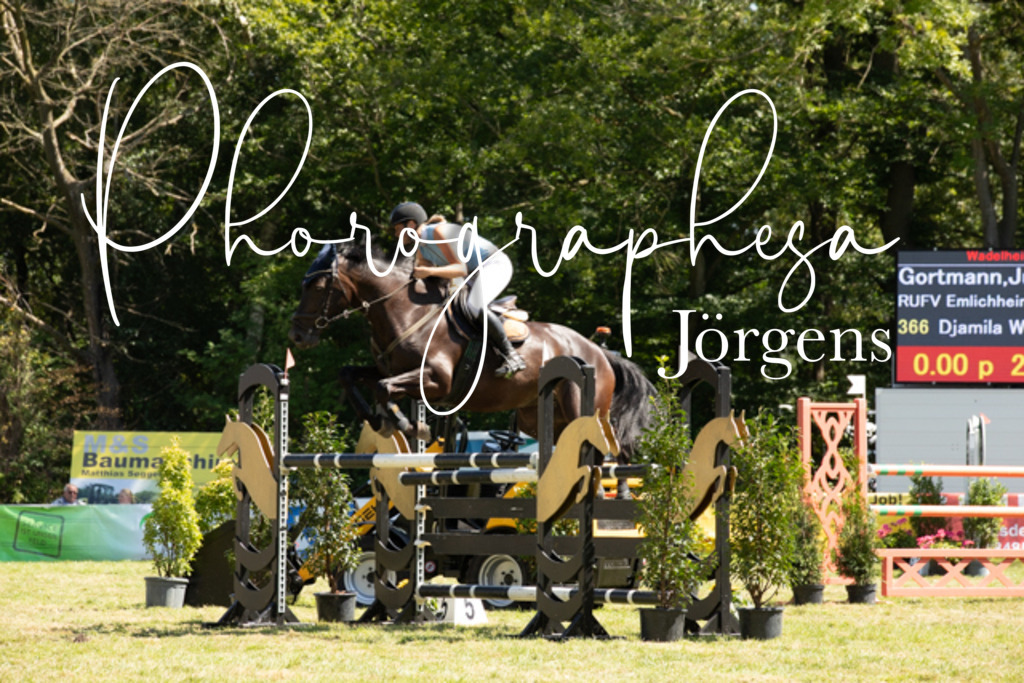 IMG_9137 | photographesa-joergens - Realisiert mit Pictrs.com