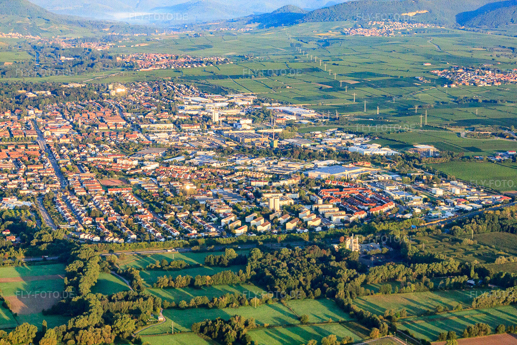 Luftbild: Horstring von Osten in Landau in der Pfalz im Bundesland Rheinland-Pfalz in Deutschland. Foto: IMG_44303.jpg vom 20.08.2011 durch Werner Riehm/FLY-FOTO.deAuflösung des Originals: 4752 x 3168 px