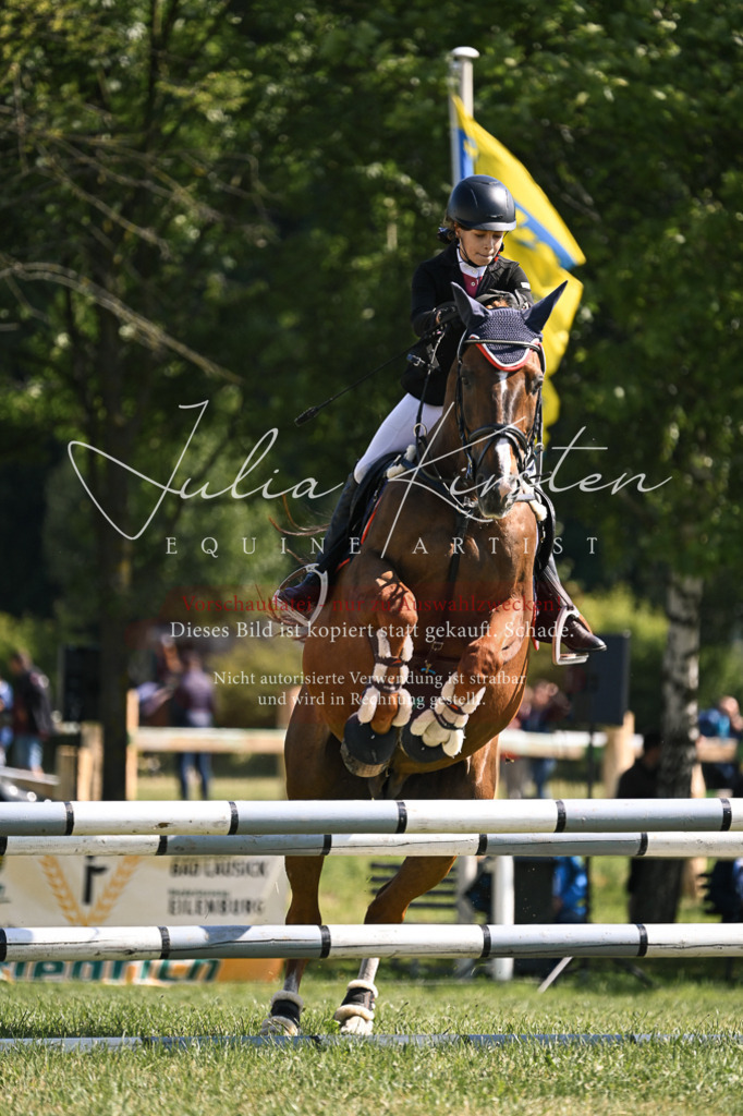 DSC_8750 | Pferde- und Turnierfotografie in Westsachsen. Pferdeportraits, Auftragszeichnungen und intuitive Kunst.