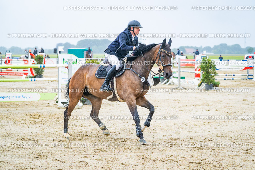 DSC00078 | Pferdegrafie