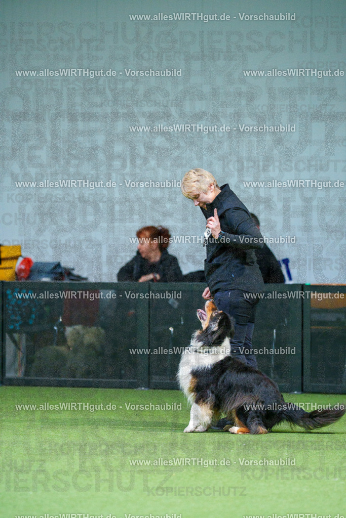 7R506084 | Professionelle Tierfotografie in Mönchengladbach von Daniel Wirth (allesWIRTHgut). Liebevolle & natürliche Bilder von Hunden & Katzen für unvergessliche Erinnerungen.