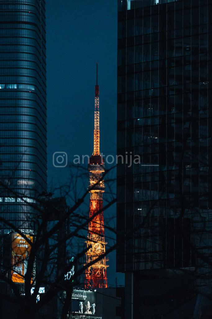 JB3A6271 | antonija-trupina - Realisiert mit Pictrs.com